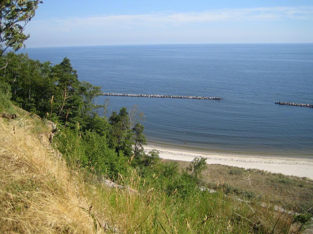 Am Kuestenwald Koserow Bagian luar foto